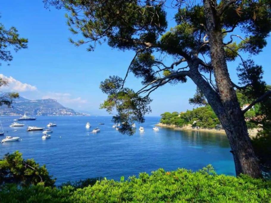 2P Neuf Au Coeur De St Jean Cap Ferrat Daire Saint-Jean-Cap-Ferrat Dış mekan fotoğraf
